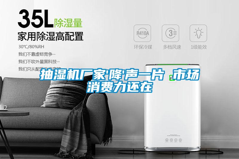 抽濕機(jī)廠家'降'聲一片 市場消費(fèi)力還在