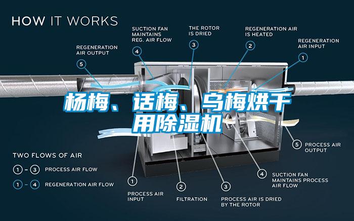 楊梅、話梅、烏梅烘干用除濕機(jī)