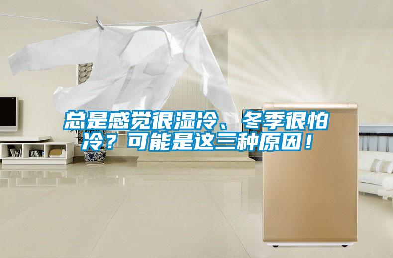 總是感覺很濕冷、冬季很怕冷？可能是這三種原因！