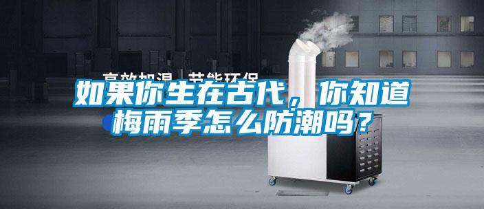 如果你生在古代，你知道梅雨季怎么防潮嗎？