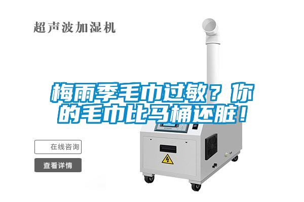 梅雨季毛巾過(guò)敏？你的毛巾比馬桶還臟！