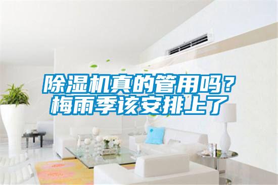 除濕機(jī)真的管用嗎？梅雨季該安排上了