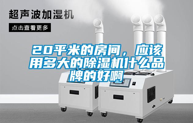 20平米的房間，應(yīng)該用多大的除濕機(jī)什么品牌的好啊