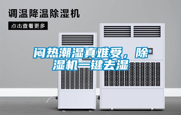 悶熱潮濕真難受，除濕機一鍵去濕
