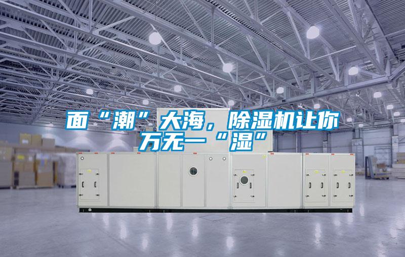 面“潮”大海，除濕機(jī)讓你萬無一“濕”