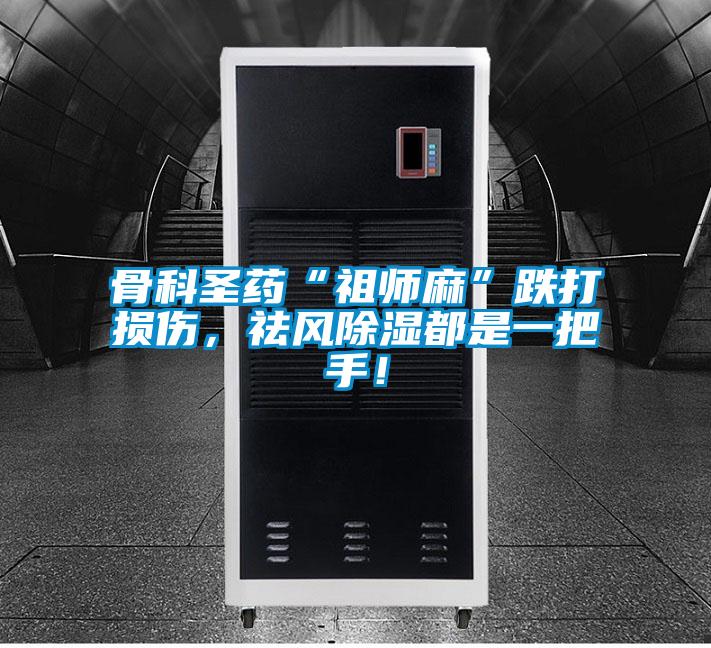 骨科圣藥“祖師麻”跌打損傷，祛風除濕都是一把手！