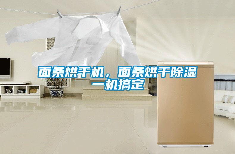 面條烘干機，面條烘干除濕一機搞定