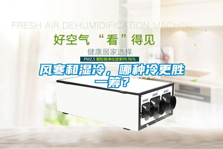 風(fēng)寒和濕冷，哪種冷更勝一籌？