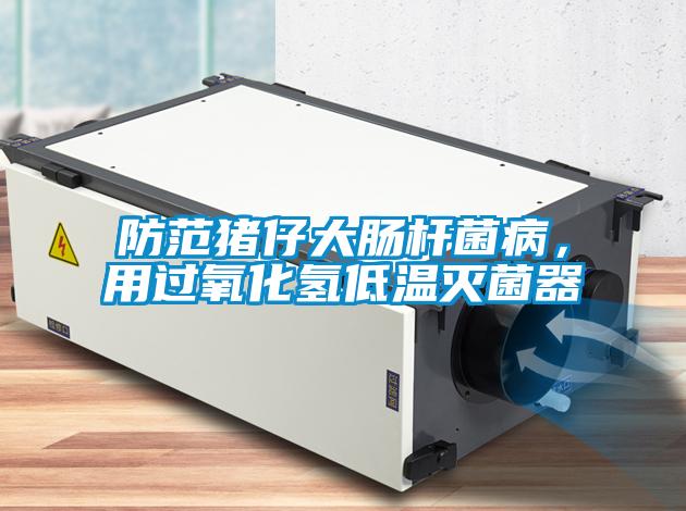 防范豬仔大腸桿菌病，用過氧化氫低溫滅菌器