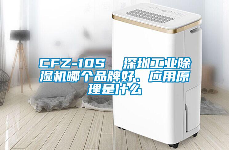 CFZ-10S  深圳工業(yè)除濕機(jī)哪個品牌好、應(yīng)用原理是什么