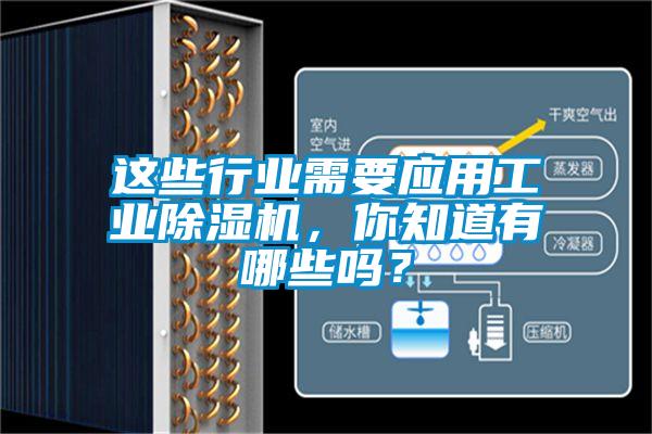 這些行業(yè)需要應(yīng)用工業(yè)除濕機(jī)，你知道有哪些嗎？