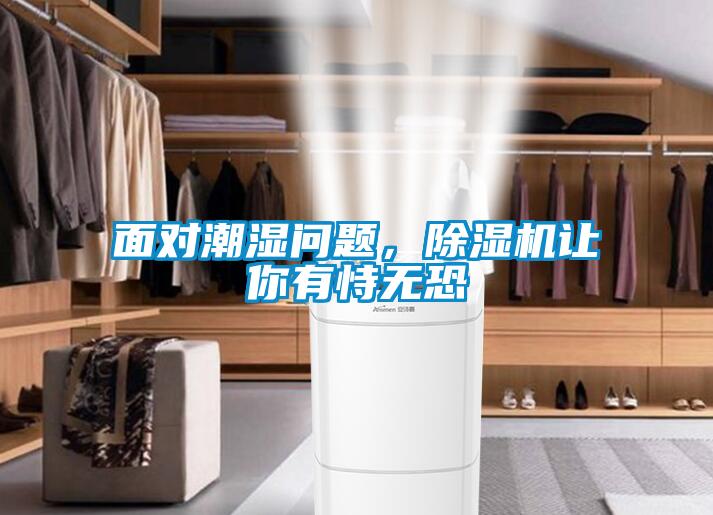 面對潮濕問題，除濕機讓你有恃無恐