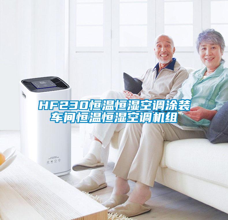 HF230恒溫恒濕空調(diào)涂裝車(chē)間恒溫恒濕空調(diào)機(jī)組