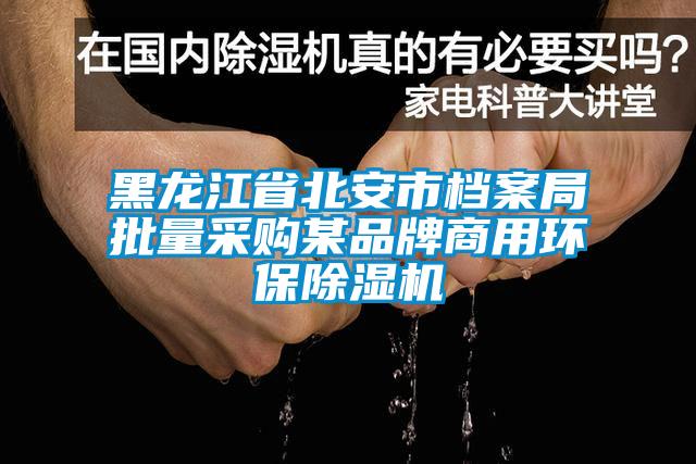 黑龍江省北安市檔案局批量采購(gòu)某品牌商用環(huán)保除濕機(jī)
