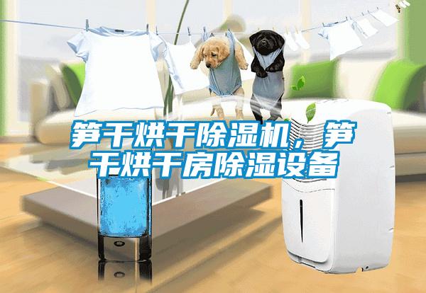 筍干烘干除濕機(jī)，筍干烘干房除濕設(shè)備