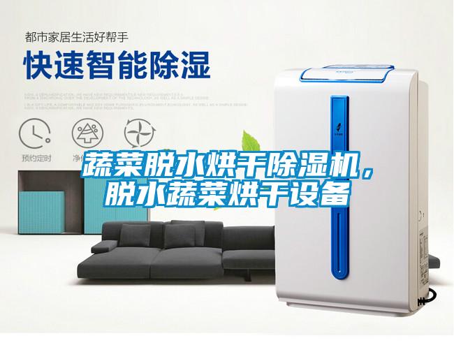 蔬菜脫水烘干除濕機，脫水蔬菜烘干設(shè)備