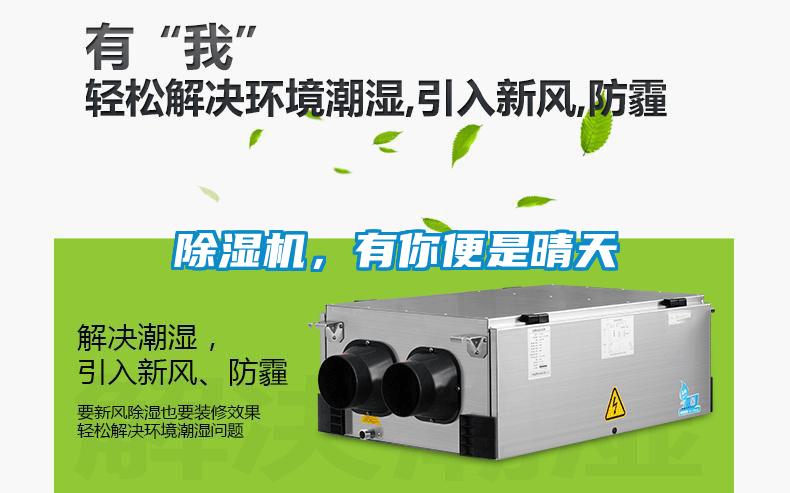 除濕機(jī)，有你便是晴天
