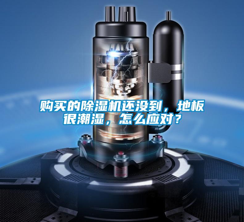 購買的除濕機還沒到，地板很潮濕，怎么應對？