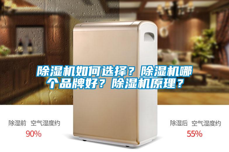 除濕機(jī)如何選擇？除濕機(jī)哪個(gè)品牌好？除濕機(jī)原理？
