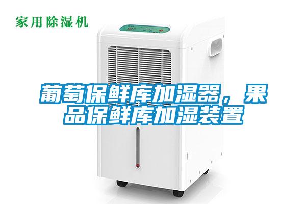 葡萄保鮮庫(kù)加濕器，果品保鮮庫(kù)加濕裝置