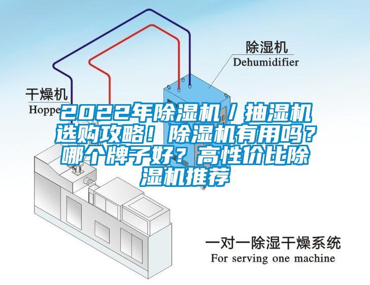 2022年除濕機(jī)／抽濕機(jī)選購攻略！除濕機(jī)有用嗎？哪個(gè)牌子好？高性價(jià)比除濕機(jī)推薦