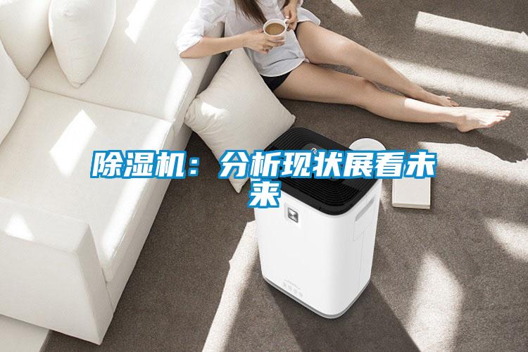 除濕機(jī)：分析現(xiàn)狀展看未來(lái)