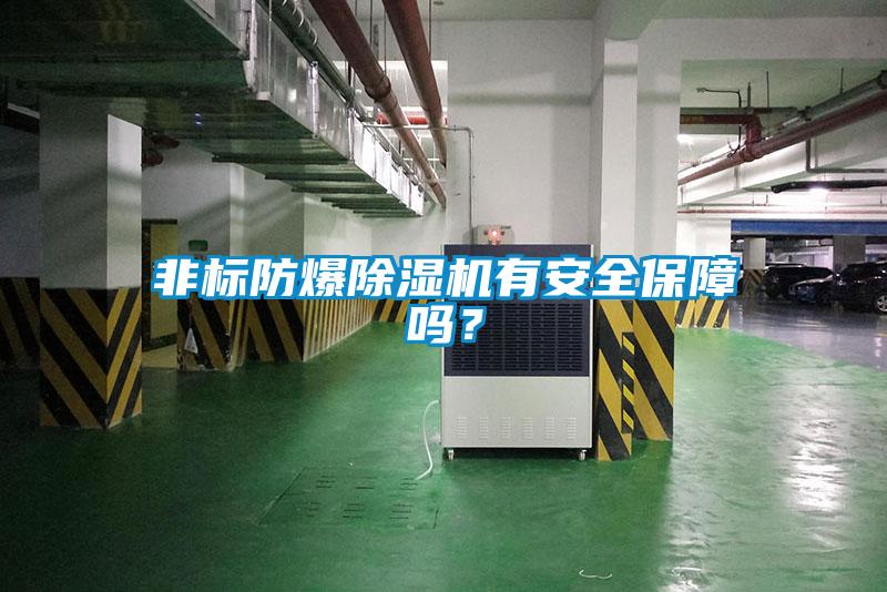 非標(biāo)防爆除濕機有安全保障嗎？
