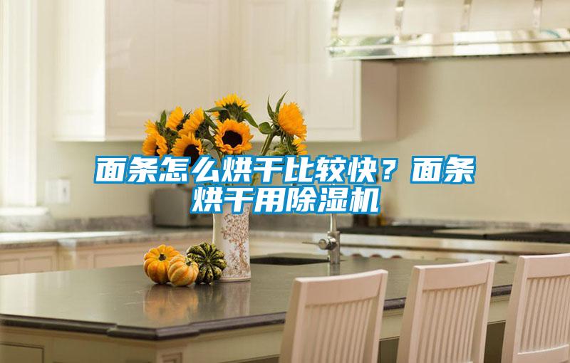 面條怎么烘干比較快？面條烘干用除濕機(jī)