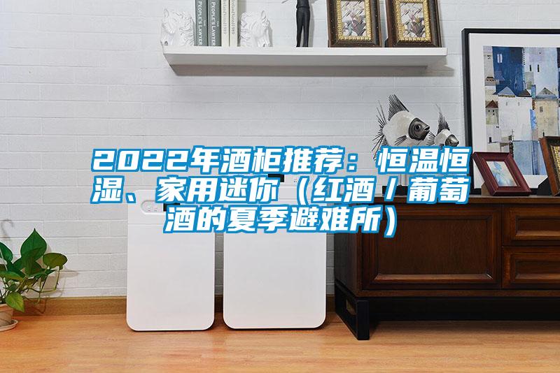 2022年酒柜推薦：恒溫恒濕、家用迷你（紅酒／葡萄酒的夏季避難所）