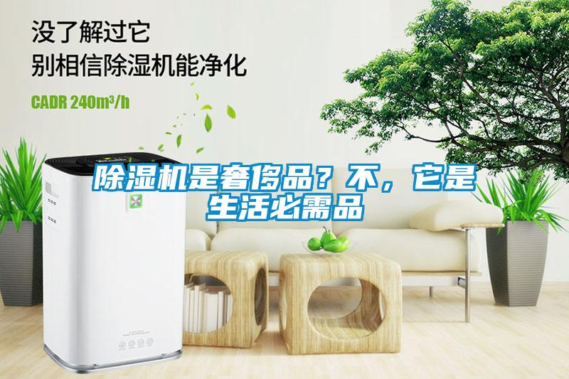 除濕機(jī)是奢侈品？不，它是生活必需品