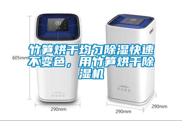 竹筍烘干均勻除濕快速不變色，用竹筍烘干除濕機(jī)