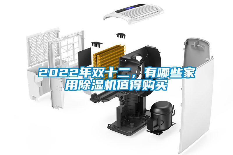 2022年雙十二，有哪些家用除濕機值得購買