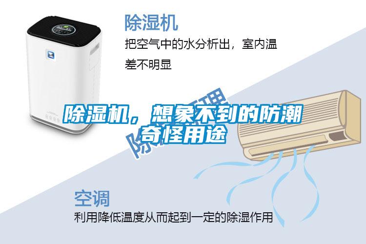 除濕機(jī)，想象不到的防潮奇怪用途