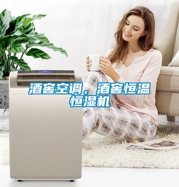 酒窖空調，酒窖恒溫恒濕機