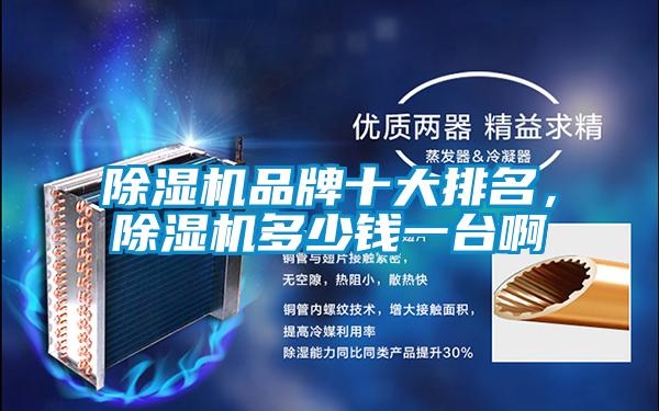 除濕機(jī)品牌十大排名，除濕機(jī)多少錢(qián)一臺(tái)啊