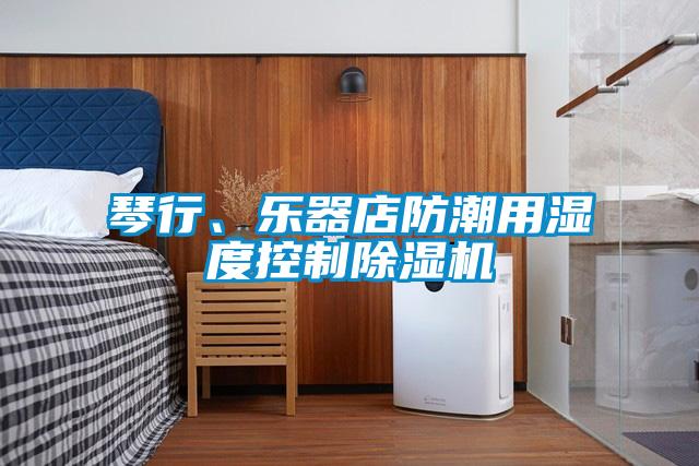 琴行、樂器店防潮用濕度控制除濕機(jī)