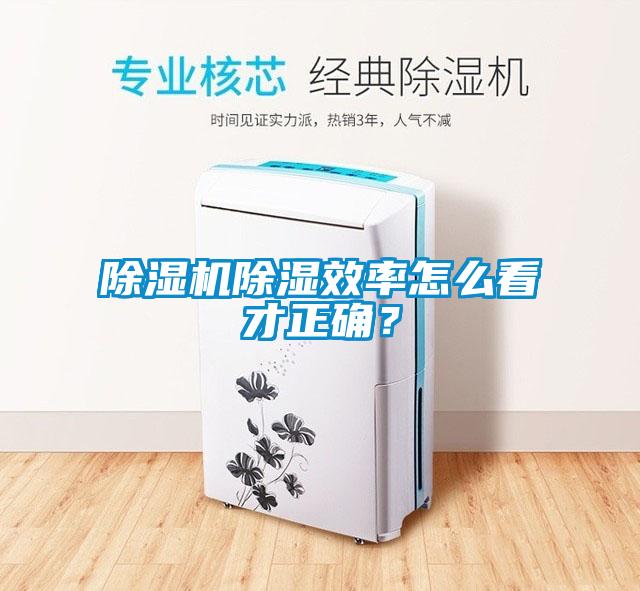 除濕機(jī)除濕效率怎么看才正確？