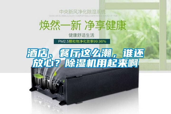 酒店、餐廳這么潮，誰還放心？除濕機用起來啊