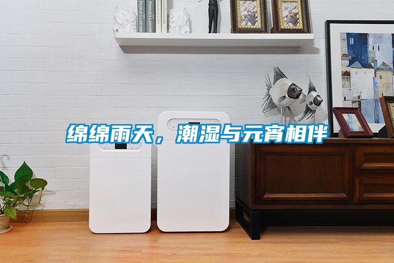 綿綿雨天，潮濕與元宵相伴
