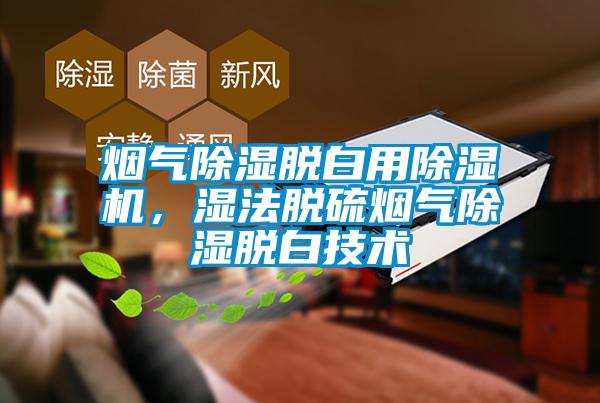 煙氣除濕脫白用除濕機，濕法脫硫煙氣除濕脫白技術(shù)