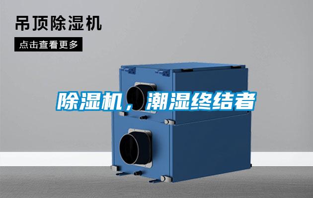 除濕機(jī)，潮濕終結(jié)者