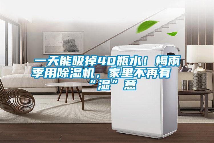一天能吸掉40瓶水！梅雨季用除濕機(jī)，家里不再有“濕”意