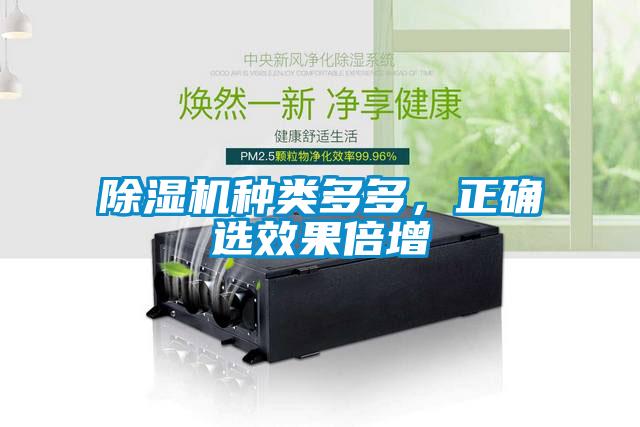 除濕機種類多多，正確選效果倍增