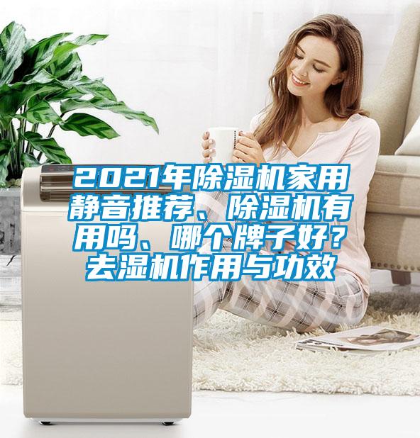 2021年除濕機(jī)家用靜音推薦、除濕機(jī)有用嗎、哪個牌子好？去濕機(jī)作用與功效