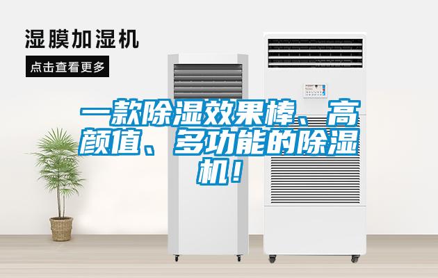 一款除濕效果棒、高顏值、多功能的除濕機！