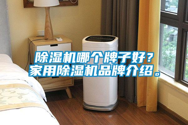 除濕機(jī)哪個(gè)牌子好？家用除濕機(jī)品牌介紹。
