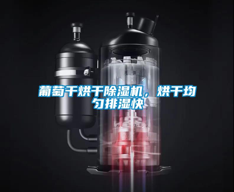 葡萄干烘干除濕機(jī)，烘干均勻排濕快