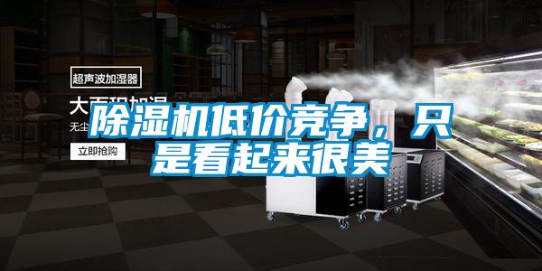 除濕機低價競爭，只是看起來很美