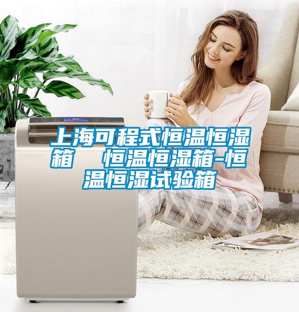 上?？沙淌胶銣睾銤裣? 恒溫恒濕箱-恒溫恒濕試驗(yàn)箱