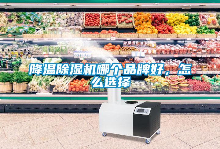 降溫除濕機(jī)哪個(gè)品牌好，怎么選擇